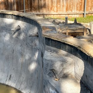 IMG_3929.jpg