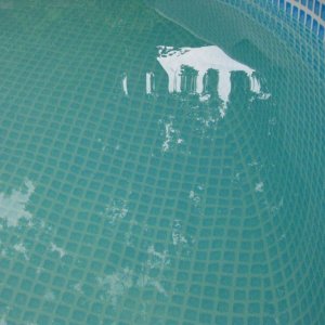 pool (Medium).JPG