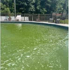 green pool.PNG