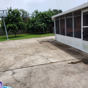 BACKYARD_EX.jpg