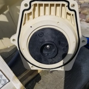 impellor2.jpg