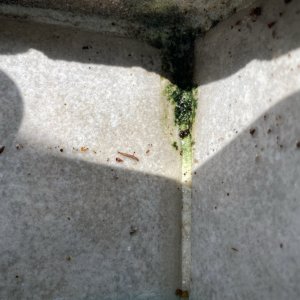 661BA326-CDCF-47F0-AF24-1B00D6677FD8.jpeg