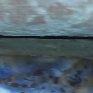 AB875998-AE86-47F6-9EBB-5EBC7D481BB4.jpeg