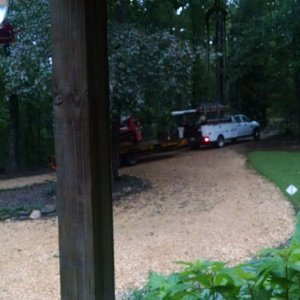 IMG_20210921_074321214.jpg