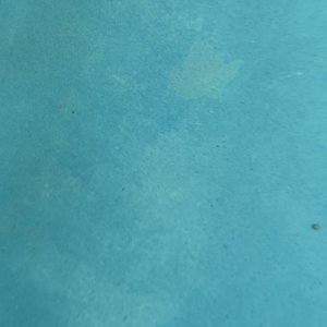 9228ED51-76B1-4BA6-9DA0-0C66AEDEAB44.jpeg