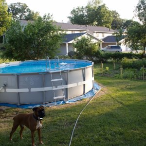 Pool 010 (800x533).jpg