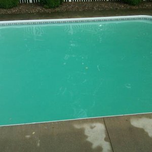 Pool-Algae.jpg