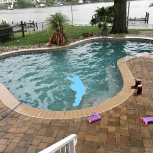 Outside_pool2_LI.jpg