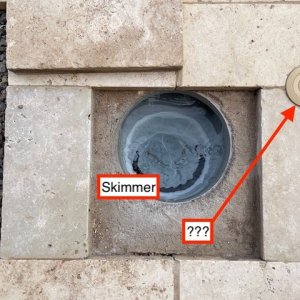 Skimmer.jpg