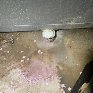 Leaking drain plug