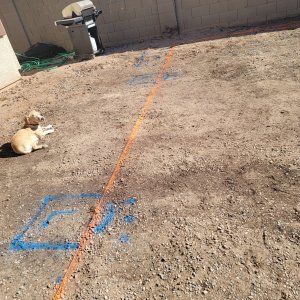 20220126_112617.jpg