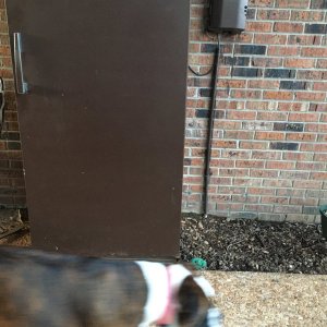BAA6465E-CA54-4EB9-BC8B-90503FEF49BA.jpeg