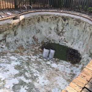 Pool before -after draining.JPG