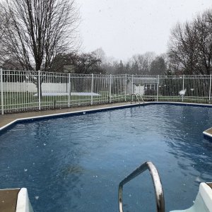 IMG_3712.JPG