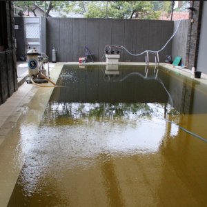 Day 3 - 2nd August 6-30AM Algae war maxed out - 4+ hours after super chlorination.JPG