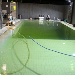 Day 3 - 2nd August 6-30PM Algae war completed - filters removing algae - 16+ hours after super...JPG