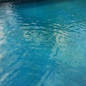 photo (2).JPG