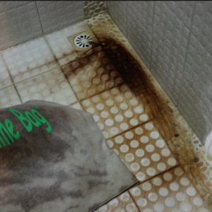SB washed v1.JPG