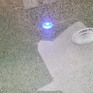 81P8FMNpywL._SL1600_.jpg
