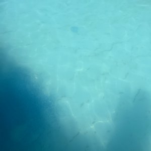 C4F54ADC-2416-4735-9326-8331EEC614C3.jpeg