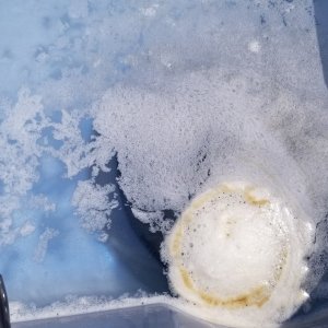 20220520_153432.jpg