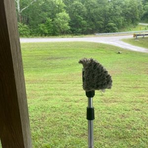 Brush 1.jpg