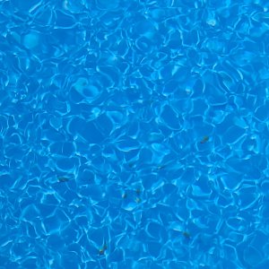 20220522_102248.jpg