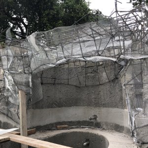 IMG_8699.jpeg