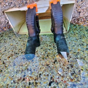 Clamps.jpg