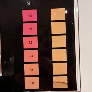 pH with TA equal to 65.jpg
