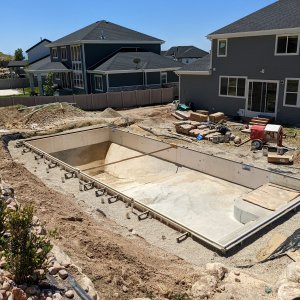 backfilled (2).jpeg