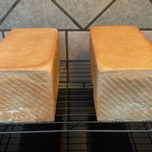 White Bread.jpg