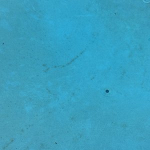 A9AD02F4-1E1B-4313-8ED5-3AD001550922.jpeg