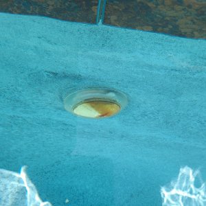 light 3.jpg