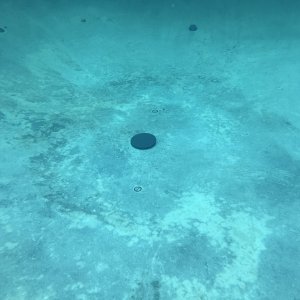 OldDrainCover.jpeg