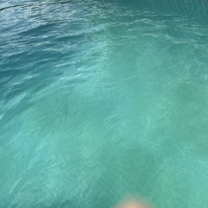 895E6B2F-B51C-4C18-8B3C-8521DF61E1A4.jpeg