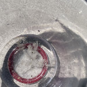 1180708B-820A-4427-9059-0BD44AE69372.jpeg