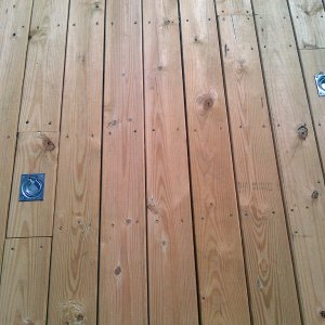 IMG-20121101-00060.jpg