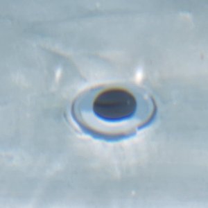 20220701_122857.jpg