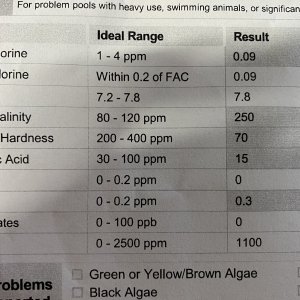 E426A2D1-13E6-4128-9B43-9C1C3AA95506.jpeg