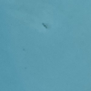 61E50578-3BB4-4593-8131-98E4CA6C90AB.jpeg