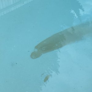 IMG_1269.jpeg