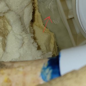20220801_183951.jpg