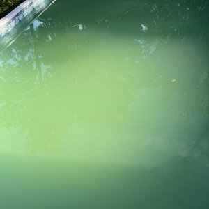 FEC238FC-356C-481F-A812-2A0D195B6371.jpeg