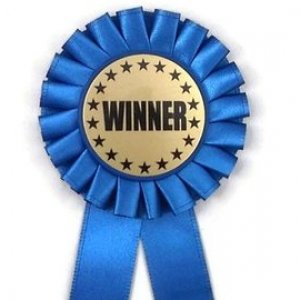 winner ribbon.jpg