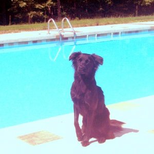 molly_pool_again 005.jpg