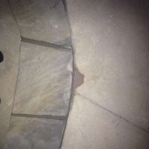 ImageUploadedByTapatalk1366078566.967252.jpg