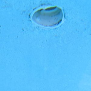p2.jpg