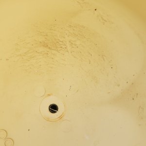 20220820_104620.jpg