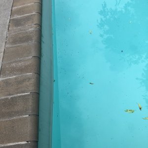 C320C04C-9697-4562-805B-D350973174AF.jpeg